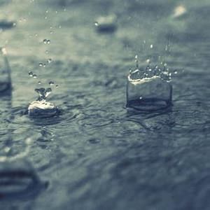 Meet your Posher, Ana